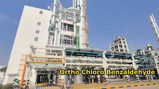 Para Chloro Benzaldehyde-Changzhou Xindong Chemical Industry Development Co., Ltd.