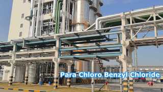 พาราคลอโร เบนซิลคลอไรด์ - Changzhou Xindong Chemical Industry Development Co., Ltd.
