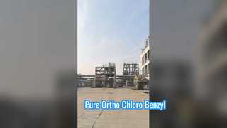 ออร์โธ คลอโร เบนซิล คลอไรด์ ของโรงงาน